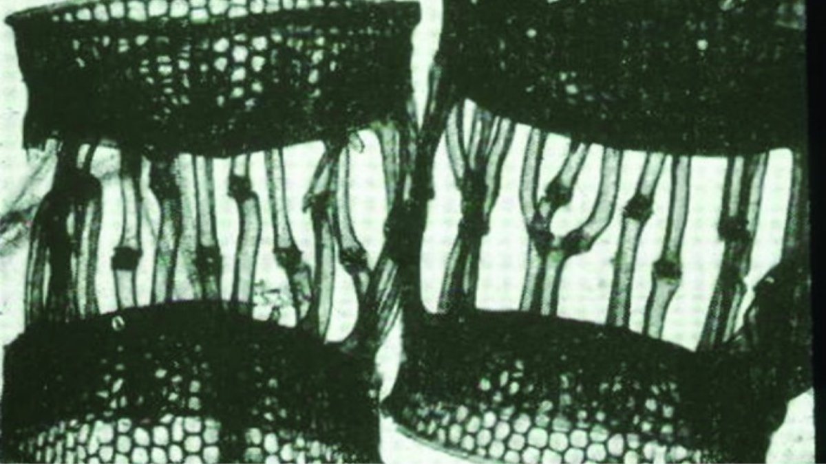 Rejuvenating Skin Health - Lumaflex